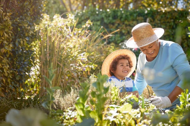 Nutrition for the elderly: the health-boosting powers of dairy ingredients